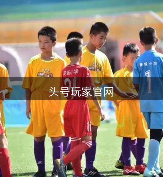 头号玩家官网概况